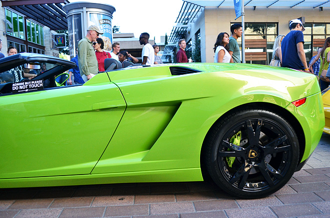 dagnyzenovia_lamborghinifestivalhouston10