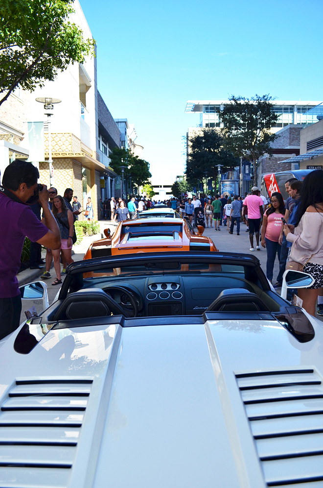 dagnyzenovia_lamborghinifestivalhouston11