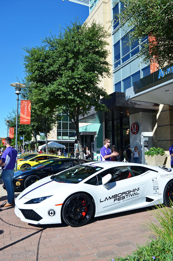 Dagny Zenovia: Lamborghini Festival Houston 2016