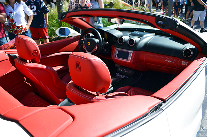 dagnyzenovia_lamborghinifestivalhouston6