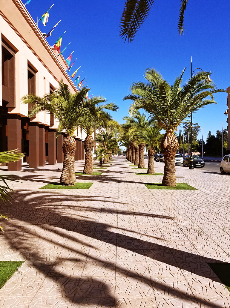 Dagny Zenovia Morocco Travel