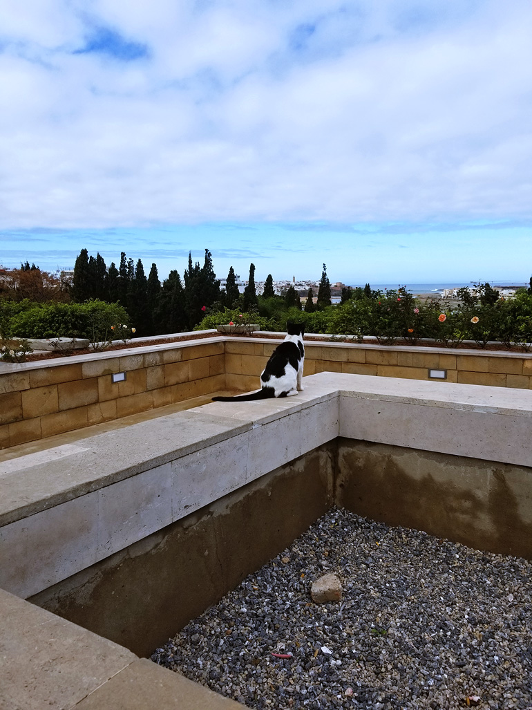 Dagny Zenovia Morocco Travel 10