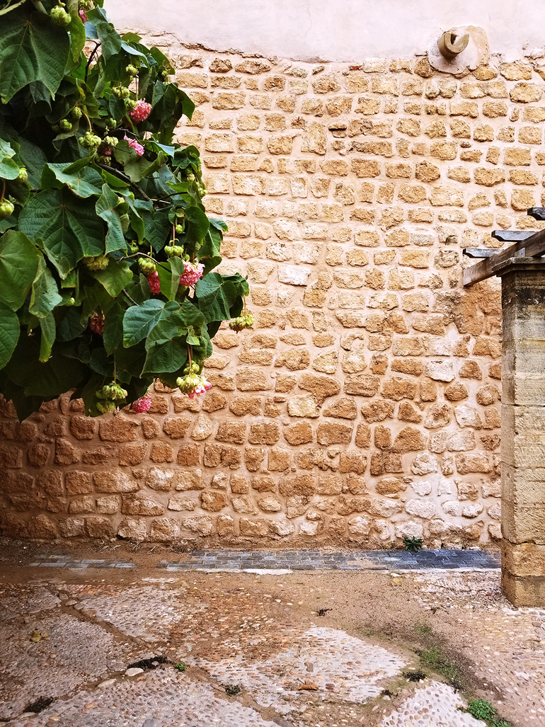 Dagny Zenovia Morocco Travel