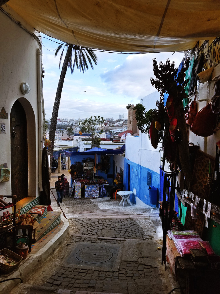 Dagny Zenovia Morocco Travel 15