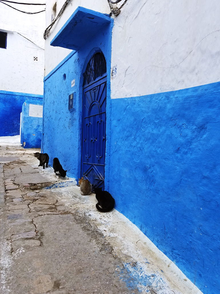Dagny Zenovia Morocco Travel 16
