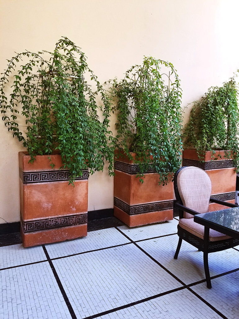 Dagny Zenovia Morocco Travel 26